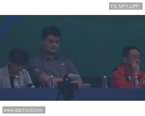 姚明蹲动作的技巧分析与篮球运动员的训练价值探讨