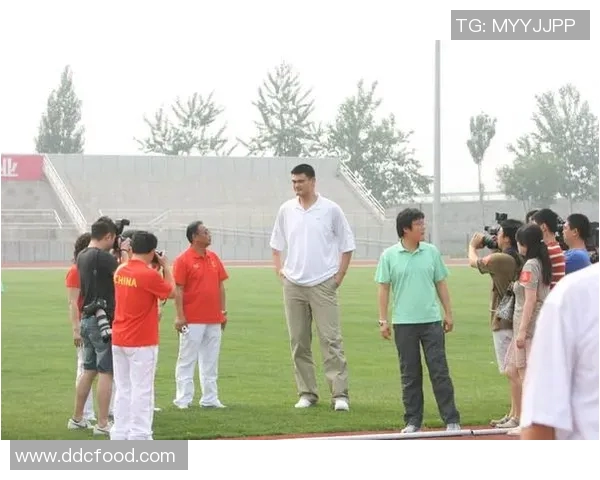 姚明兄弟携手出击助力篮球事业再创辉煌