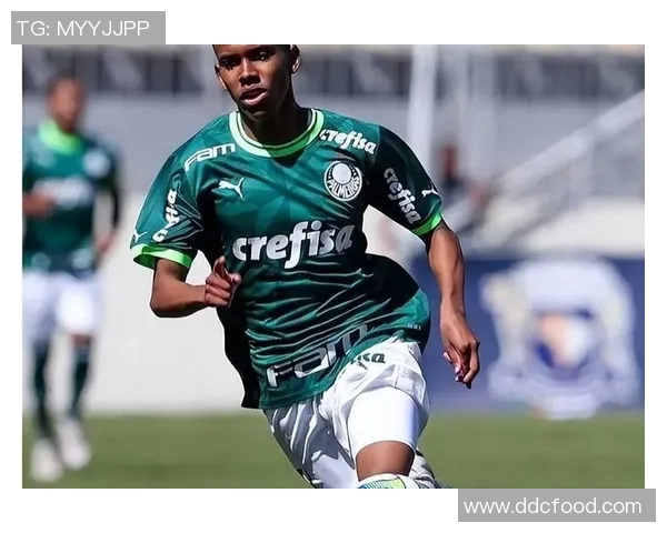 足球明星之间的鄙视链揭秘谁才是真正的球场王者与被低估的天才