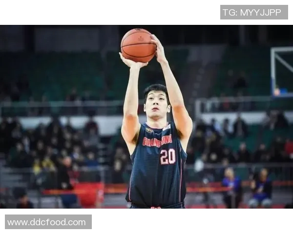 日本篮球明星的崛起与影响力探讨从历史到未来的全景分析