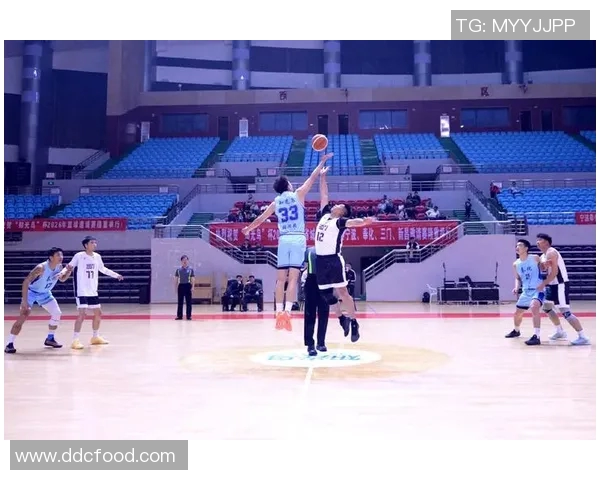 奉化篮球明星的成长之路与辉煌成就探秘