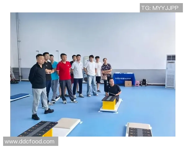 体育课道具的多样化选择与创新使用探讨促进学生身心健康发展的重要性