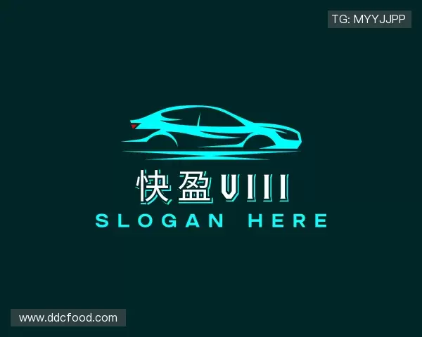 了解快盈VIII